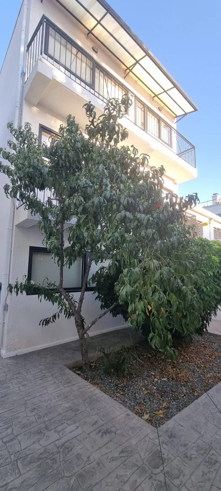 Después, Reciclaje de edificio Pedro de Valdivia 3205